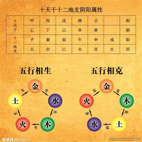 生肖五行相生相克|五行相生相克